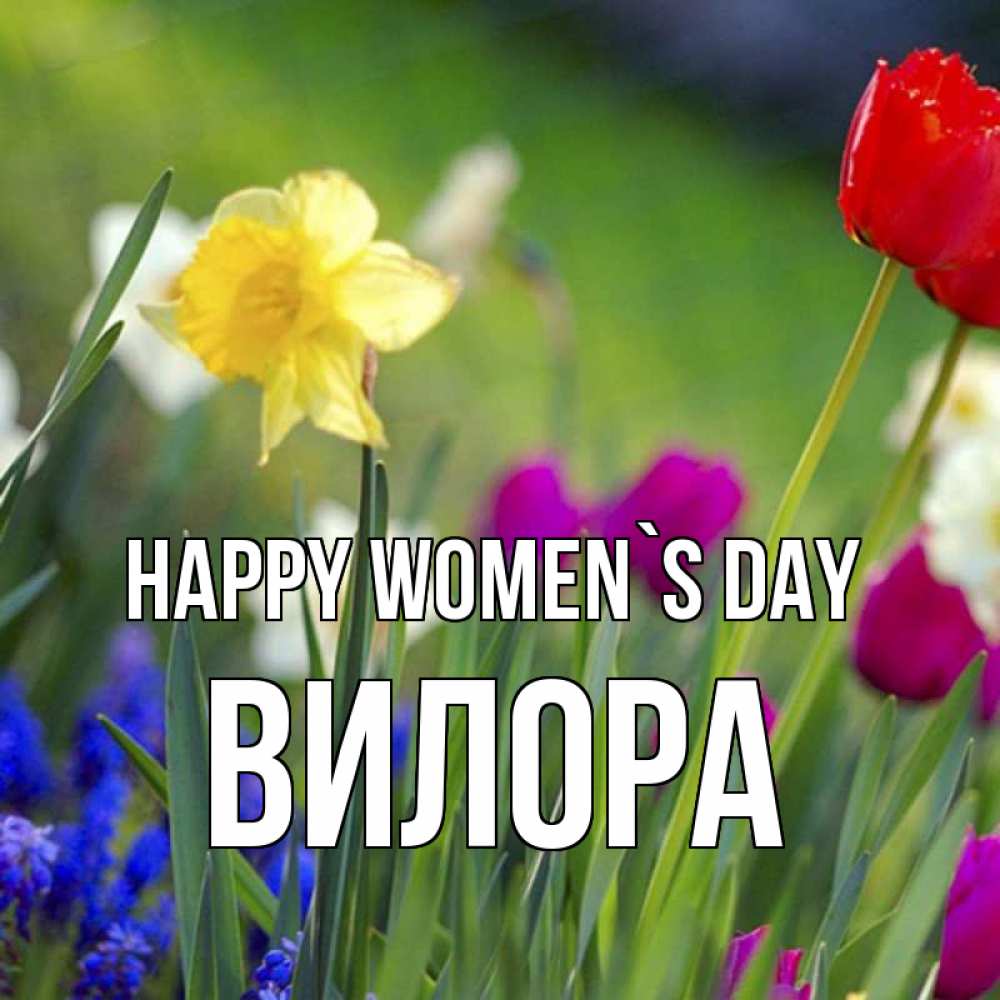 Greetings card с именем, Вилора happy women`s day международный женский день 3 Greetings with text for free download 